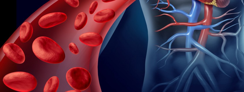 Heart Blood Health